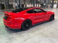 2019 Ford Mustang VI Рестайлинг, красный - вид 8
