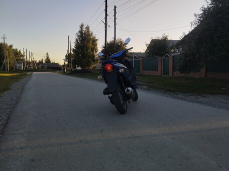2016 Racer Lupus, синий, 36000 рублей, вид 1