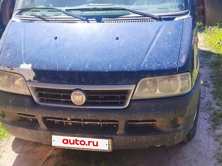 2011 Fiat Professional Ducato, синий, 700000 рублей, вид 5