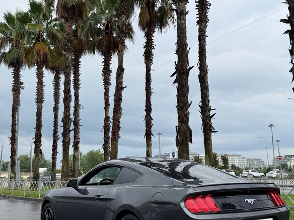 2019 Ford Mustang VI Рестайлинг, серый, 2300000 рублей - вид 2