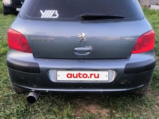 2007 Peugeot 307 I Рестайлинг, серый, 250000 рублей, вид 4