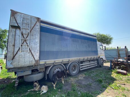1995 Scania 3-Series, белый, 995000 рублей, вид 4