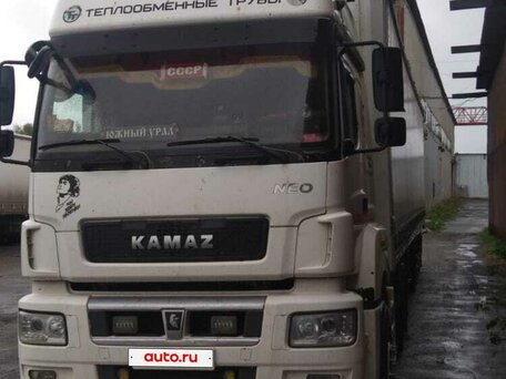 2018 КамАЗ 5490, белый, 3300000 рублей, вид 1