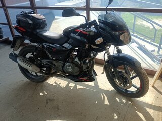 2019 Bajaj Pulsar 180, чёрный, 140000 рублей, вид 1