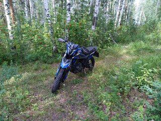2023 Racer Ranger, синий, 154000 рублей, вид 1