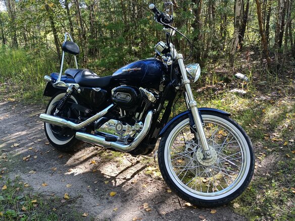 2007 Harley-Davidson Sportster 1200, синий, 635000 рублей - вид 10