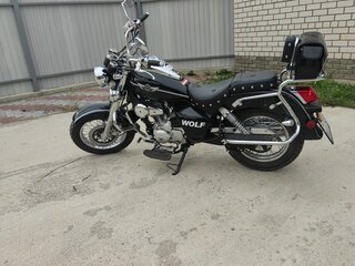 Motoland Wolf 250
