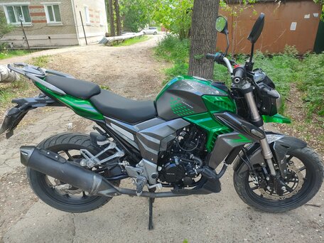 2022 Regulmoto T-Leopard 300, зелёный, 200000 рублей, вид 2