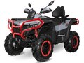 2025 CFMoto CFORCE 1000 EPS LTD, серый, 1619910 рублей