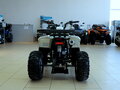 2021 Motoland ATV 110 Eagle, белый - вид 3