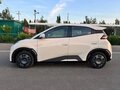 2025 BYD Seagull 38.88 kWh I Рестайлинг, бежевый - вид 5