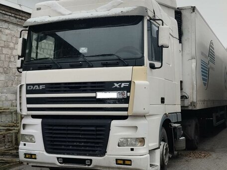 2005 DAF 95XF, белый, 4800000 рублей, вид 2