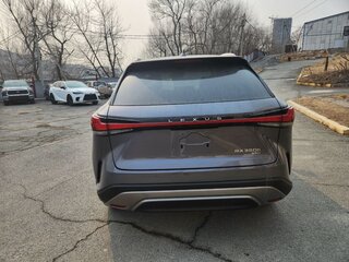2023 Lexus RX 350h V, серый, 12242104 рублей, вид 5