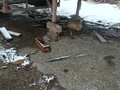 1991 ОдАЗ 9370, красный, 200000 рублей - вид 1