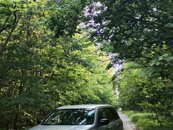 2004 Mitsubishi Outlander I, серебристый, 560000 рублей - вид 5