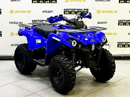 2025 Bison ATV200, синий, 219000 рублей, вид 4