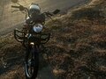 2024 Racer Alpha, коричневый, 60000 рублей - вид 1