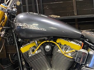 2005 Harley-Davidson Softail Custom, серый, 1200000 рублей, вид 2