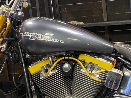 2005 Harley-Davidson Softail Custom, серый, 1200000 рублей, вид 2
