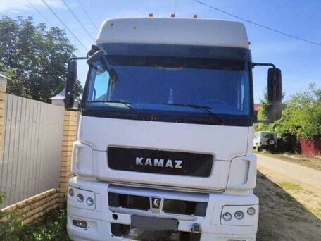 2014 КамАЗ 5490, белый, 3500000 рублей, вид 4