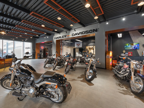2020 Harley-Davidson Road Glide, коричневый - вид 13