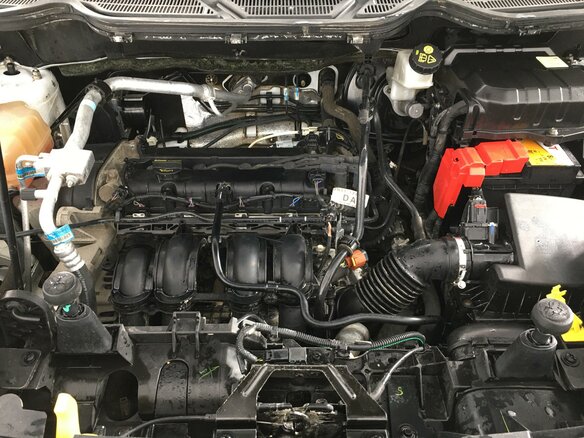 2016 Ford EcoSport II, белый - вид 11