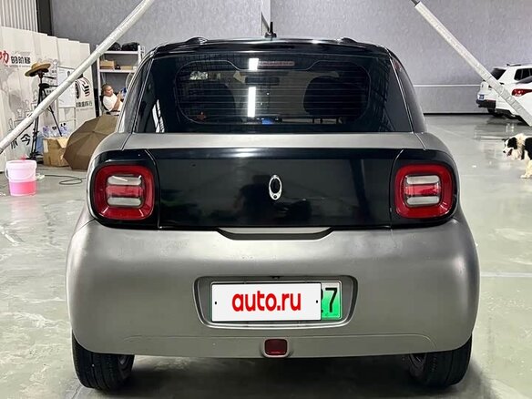 2021 Ora Black Cat 33 kWh, серебристый - вид 5