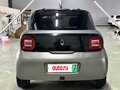 2021 Ora Black Cat 33 kWh, серебристый - вид 5