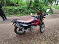 2006 Lifan LF200GY-5, красный, 100000 рублей - вид 4
