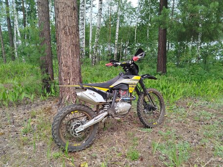 2025 JHL Z7, жёлтый, 135000 рублей, вид 5