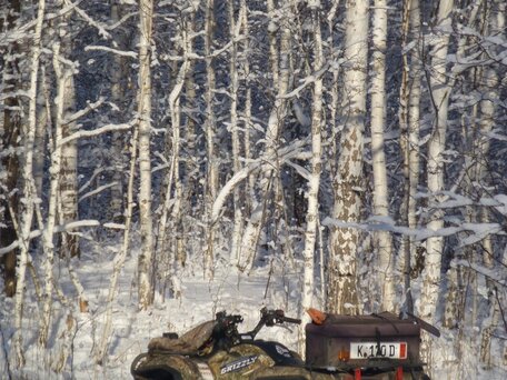 2008 Yamaha Grizzly 700, зелёный, 729000 рублей, вид 3