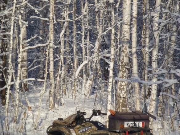 2008 Yamaha Grizzly 700, зелёный, 729000 рублей - вид 2