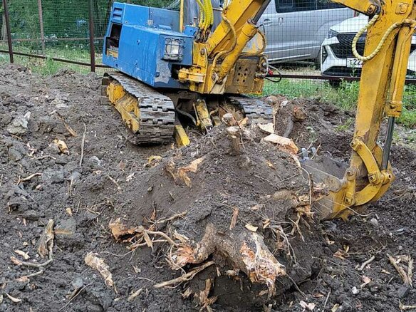 1991 Yanmar YB, синий, 1150000 рублей - вид 7