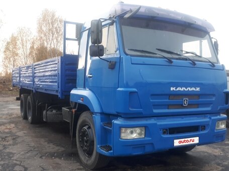 2010 КамАЗ 65117, синий, 2300000 рублей, вид 3