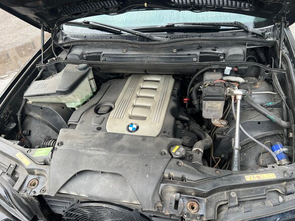 2004 BMW X5 3.0d I (E53) Рестайлинг, чёрный - вид 17