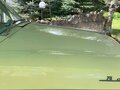1965 ГАЗ 21 «Волга» 21Р, бежевый, 1100000 рублей - вид 9