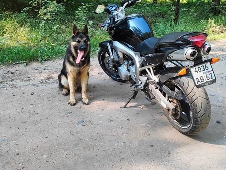 2005 Yamaha FZ6, чёрный, 400000 рублей, вид 4