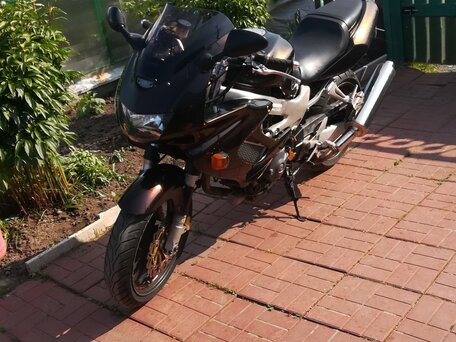 2000 Honda VTR 1000, коричневый, 360000 рублей, вид 1