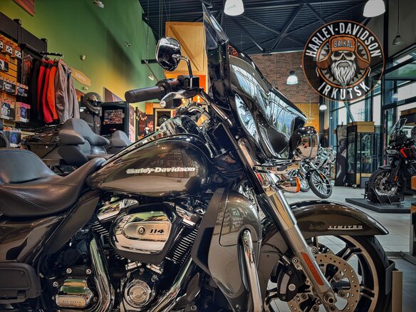 2019 Harley-Davidson Ultra Limited, коричневый, 3000000 рублей - вид 9