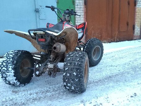 2021 Motoland ATV 250S, пурпурный, 155000 рублей, вид 3