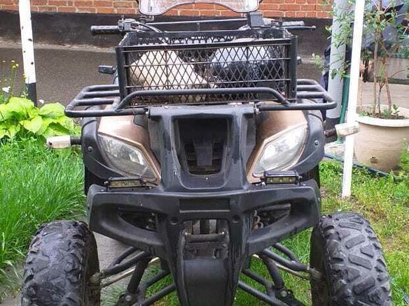 2020 Rato Hammer 200L, бежевый, 70000 рублей - вид 3