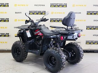 2025 Iride 200 Rover L, чёрный, 179000 рублей, вид 2