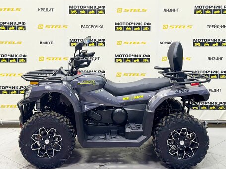 2026 Bizon YK450L EPS, серый, 639900 рублей, вид 2