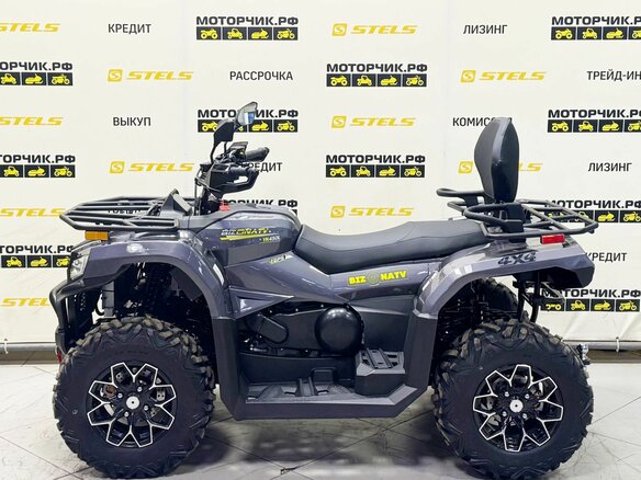 2026 Bizon YK450L EPS, серый - вид 1