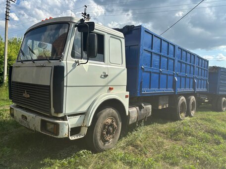 1990 МАЗ 6303, белый, 1200000 рублей, вид 3