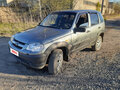 2010 Chevrolet Niva I Рестайлинг, серый