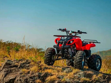 2025 Tiger Opti 150, красный, 116900 рублей, вид 1
