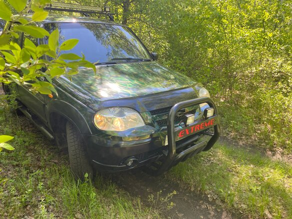2013 Chevrolet Niva I Рестайлинг, серебристый - вид 26