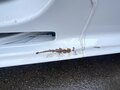 2018 Peugeot Expert, белый, 2500000 рублей - вид 2