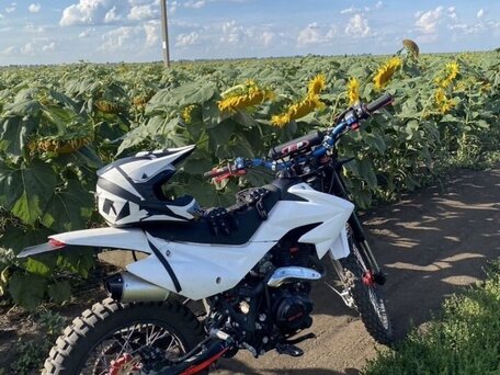 2022 GR GR-SX150, белый, 95600 рублей, вид 4